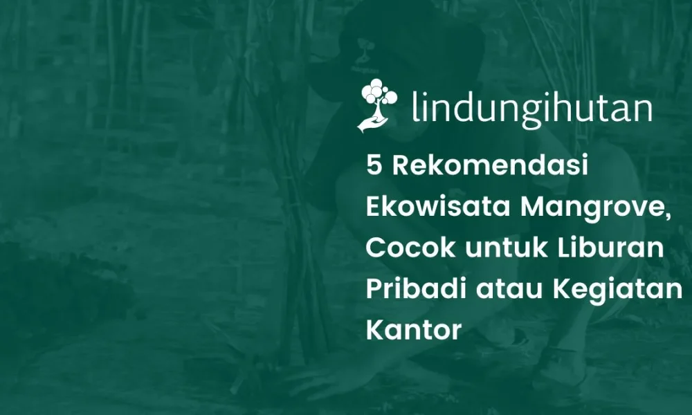 Holding the Sunset at Ujung Alang: A Mangrove Escape That Invites You to Breathe