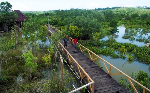 Menghela Napas di Ujung Alang: Rahasia Wisata Mangrove yang Menenangkan Jiwa